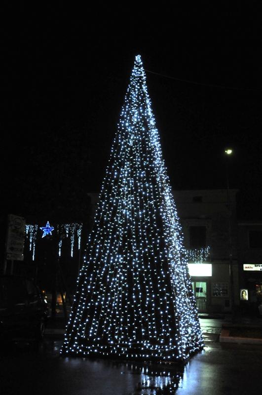 Albero piramidale