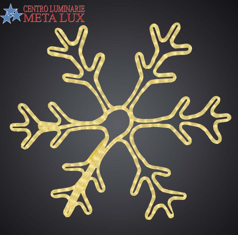 Fiocco di neve