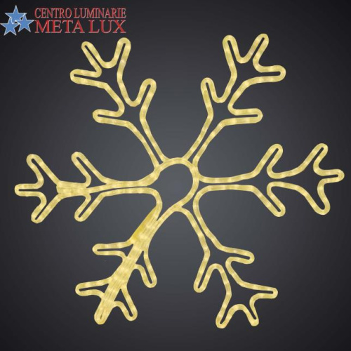 Fiocco di neve