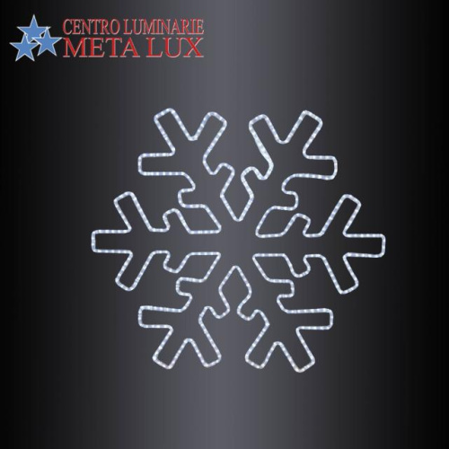 Fiocco di neve